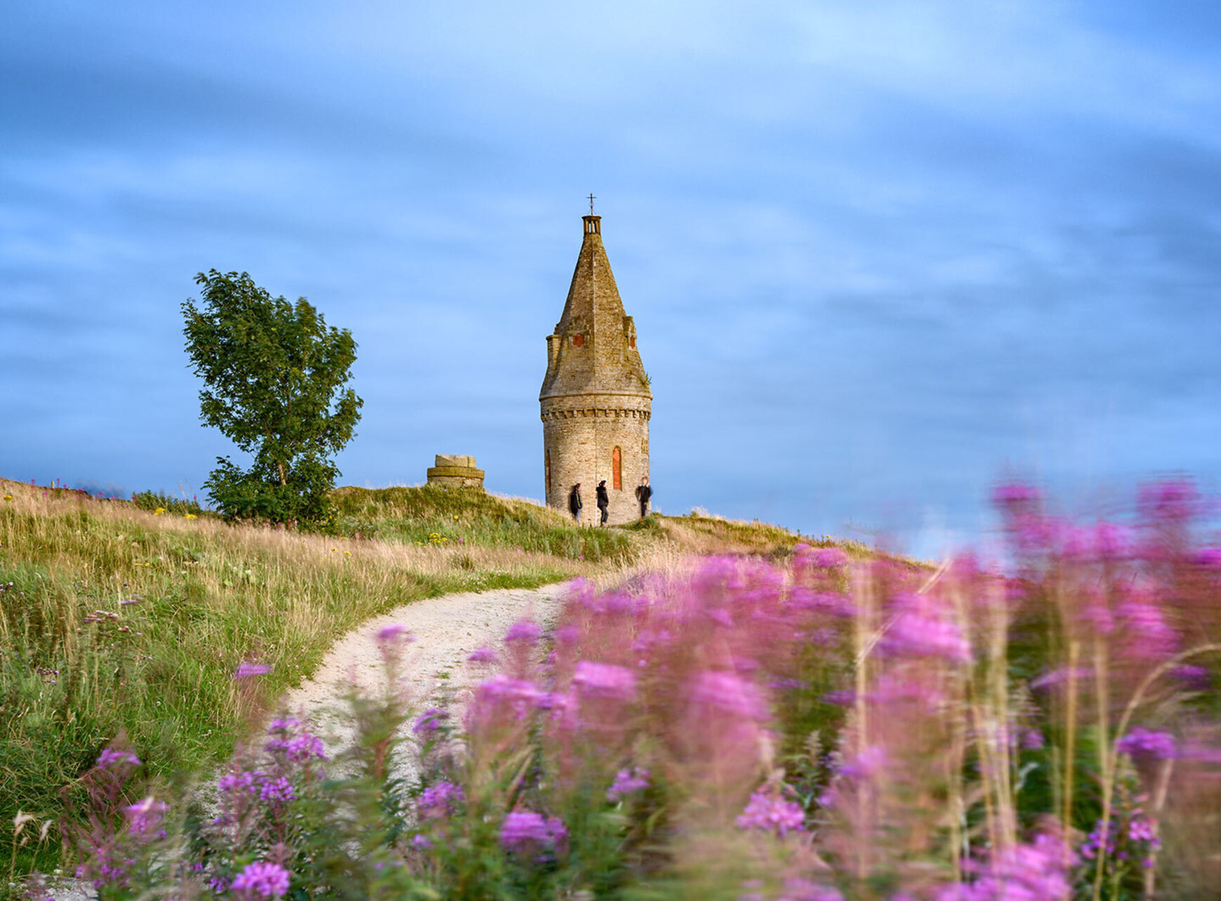 A stone tower standing above a field of pink flowers.